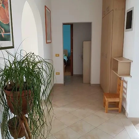 Apartman Vesna شقة