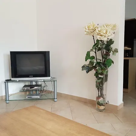 Apartman Vesna * بيروغ